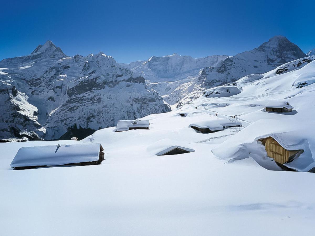 Apartment Chalet Casa Almis 5 By Interhome Grindelwald Buitenkant foto